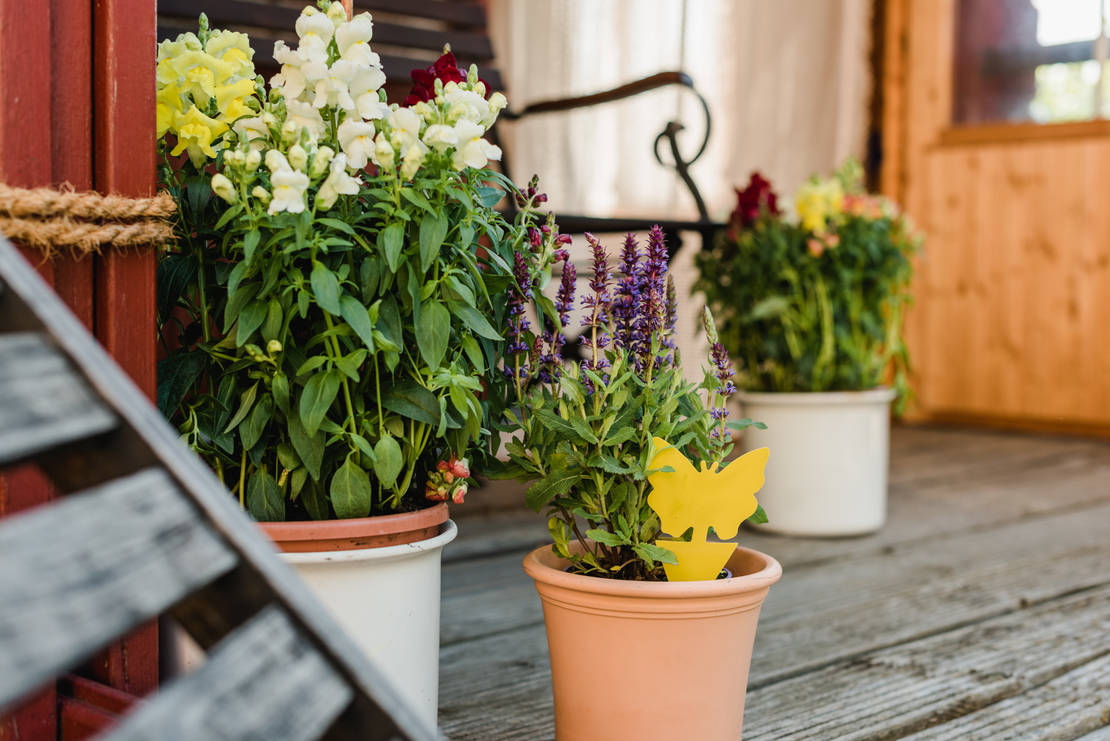 Flo_040_2066_web_┬®rosafotografiert@Rosafotografiert