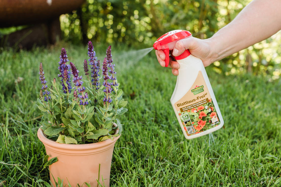 Flo_025_1937_web_┬®rosafotografiert@Rosafotografiert